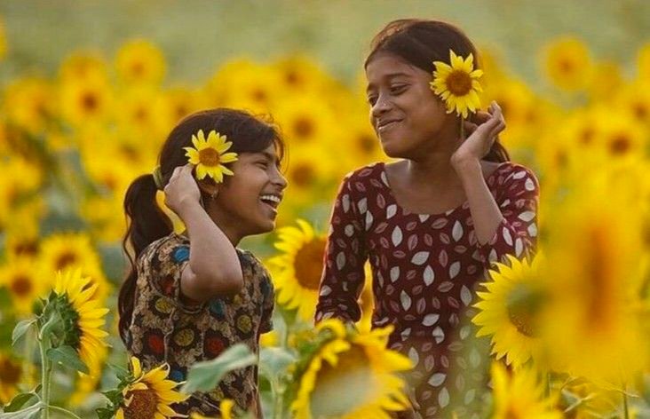 The Sunflower's Laughter
