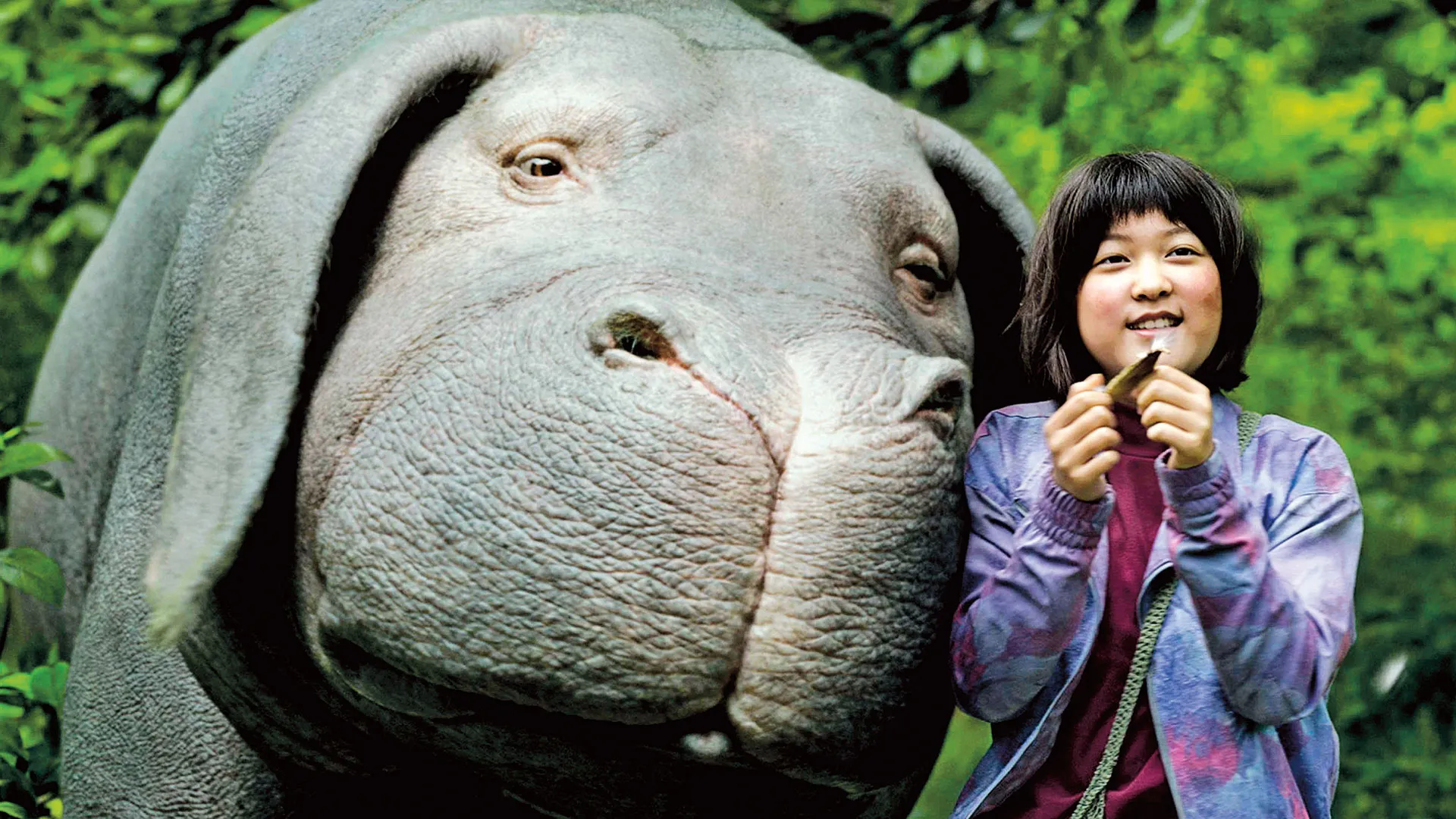 Okja: When Love Becomes Resistance